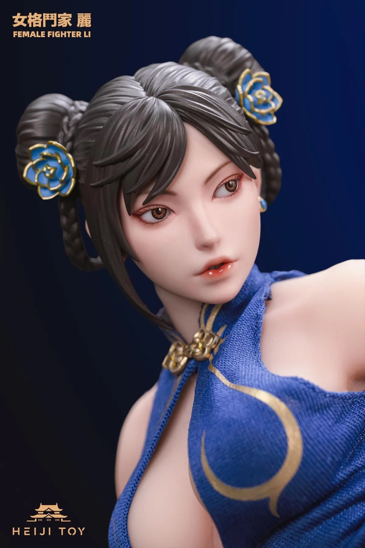 HeiJi Toys 1/6 Female Fighter Li
