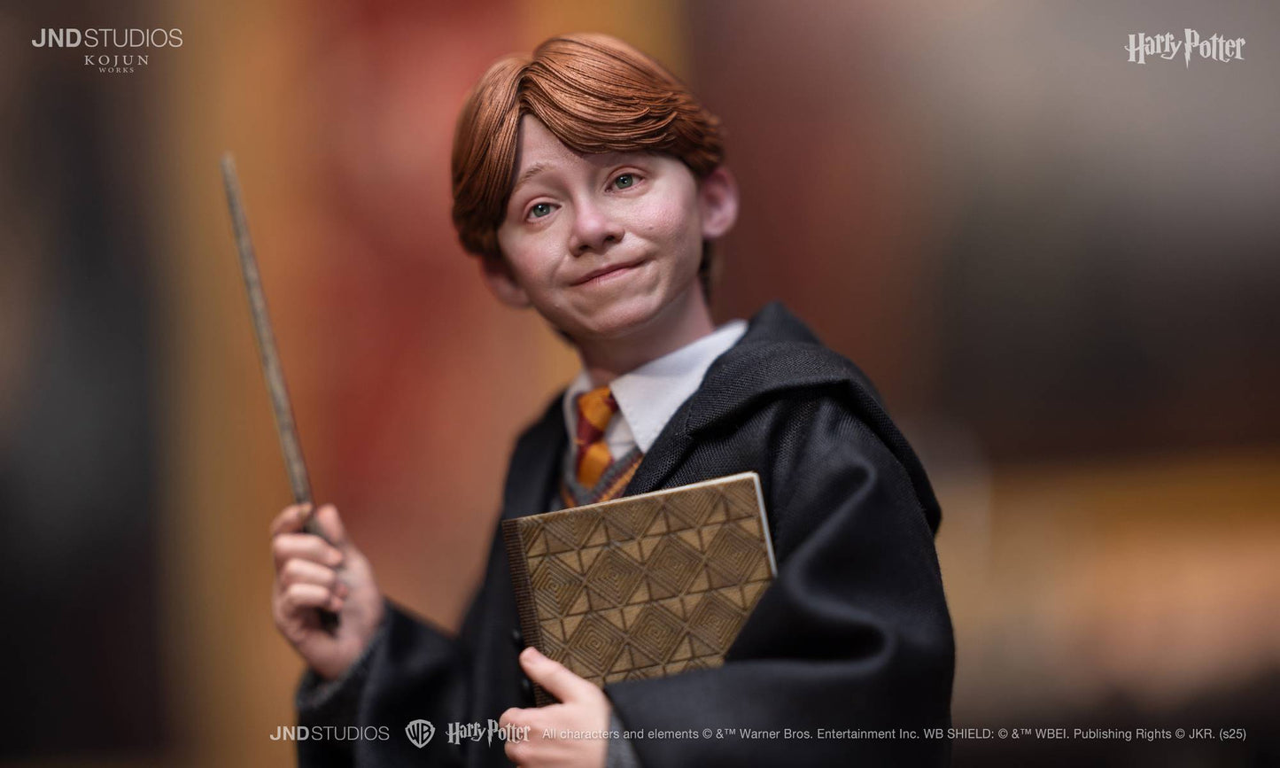 1:6 JND HARRY POTTER LITE – Ron Weasley