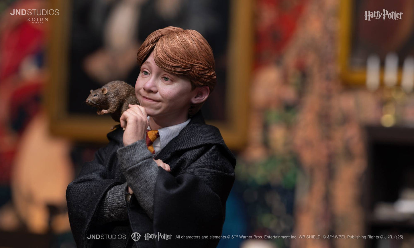 1:6 JND HARRY POTTER LITE – Ron Weasley