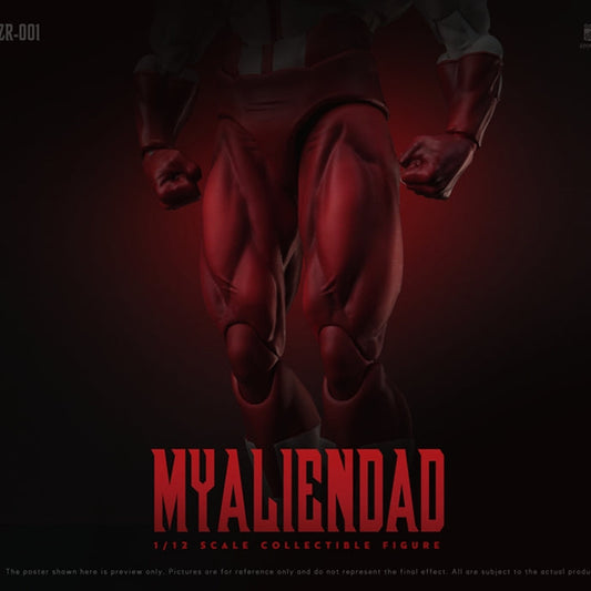 ZOOMRIG ZR-001 1/12 MYALIENDAD