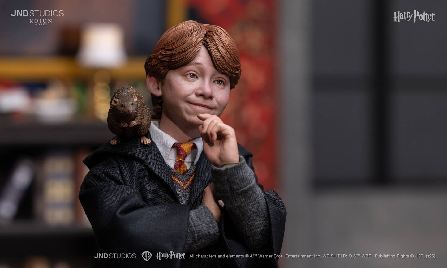 1:6 JND HARRY POTTER LITE – Ron Weasley