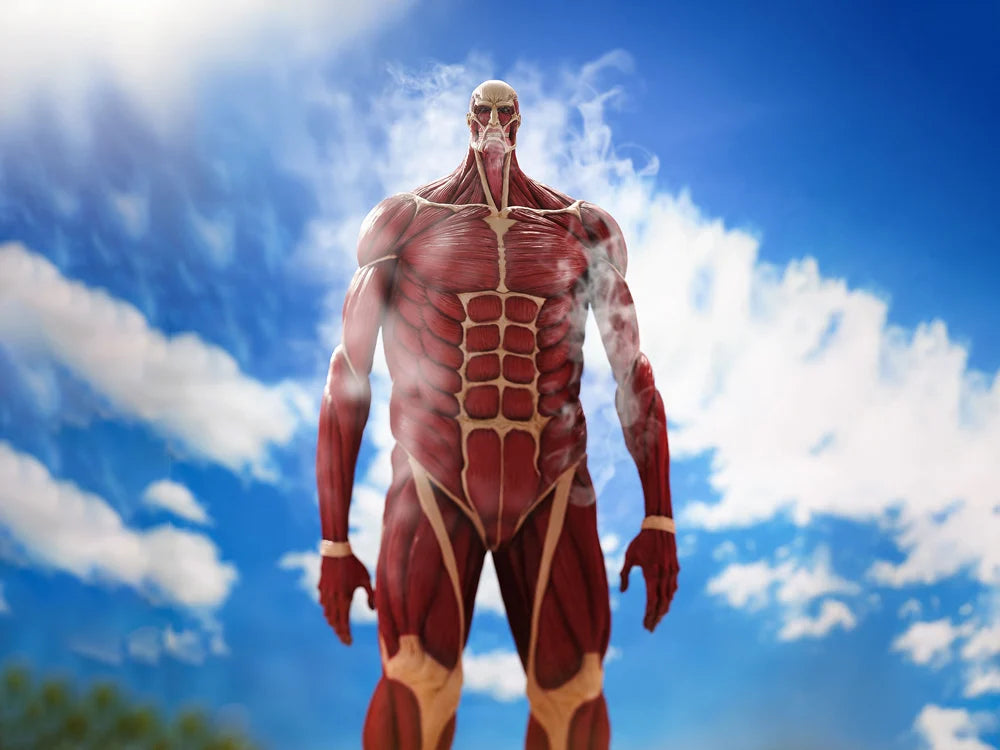 Mega Soft Vinyl Attack on Titan - Colossal Titan