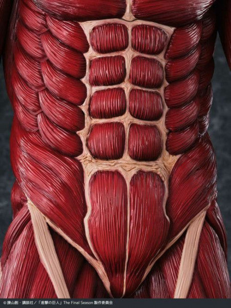 Mega Soft Vinyl Attack on Titan - Colossal Titan
