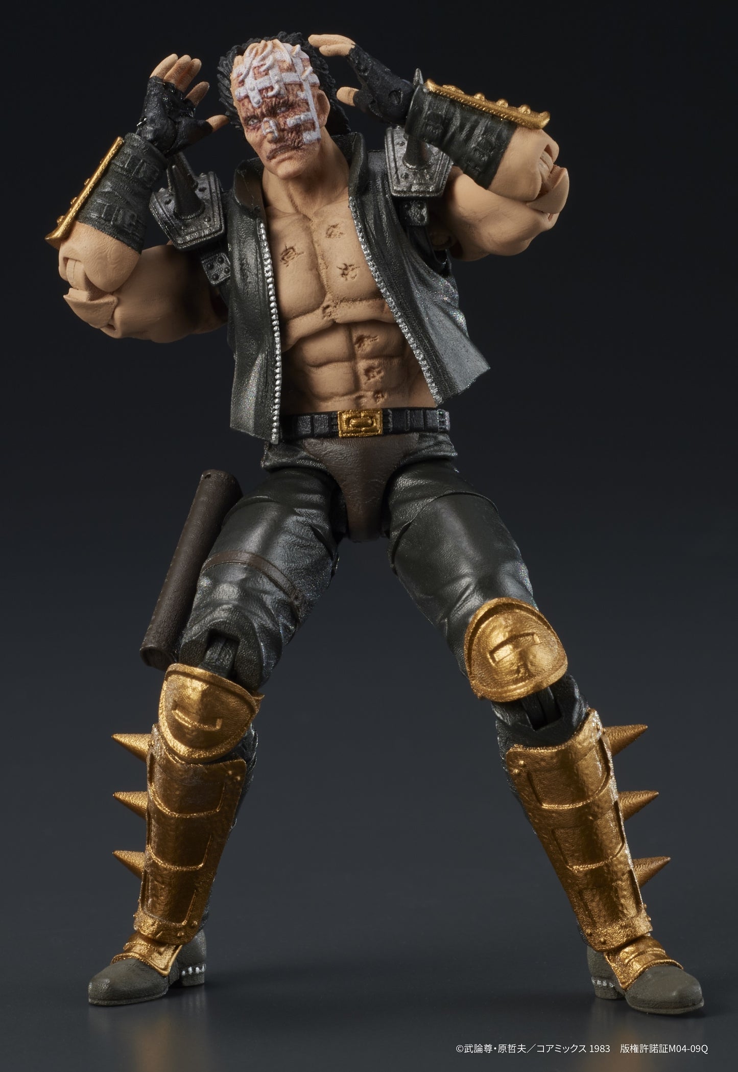 FIST OF THE NORTH STAR DIGACTION JAGI