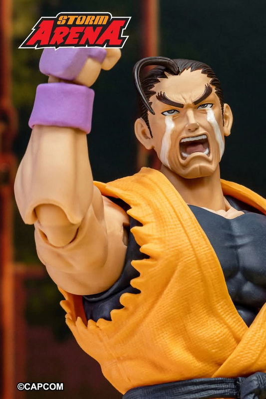 Storm Arena Dan Hong Kong Comic Con Limited Version