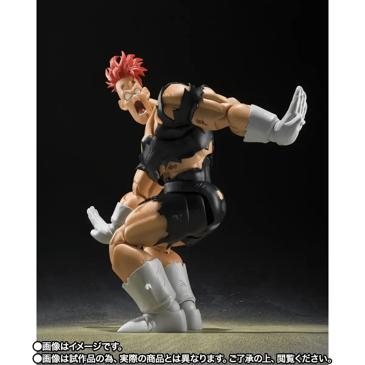 S.H.Figuarts RECOOME (P-Bandai Exclusive)