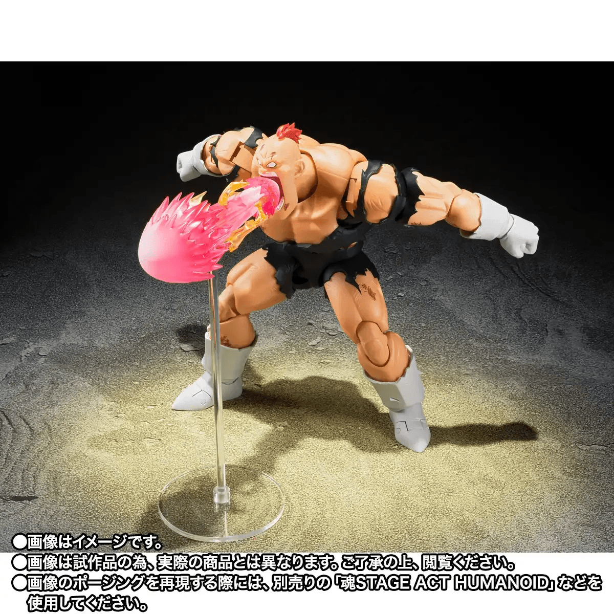 S.H.Figuarts RECOOME (P-Bandai Exclusive)