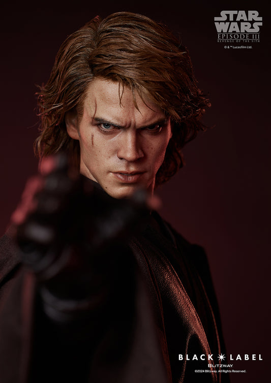 Black Label Statue 002: Star Wars - Anakin Skywalker