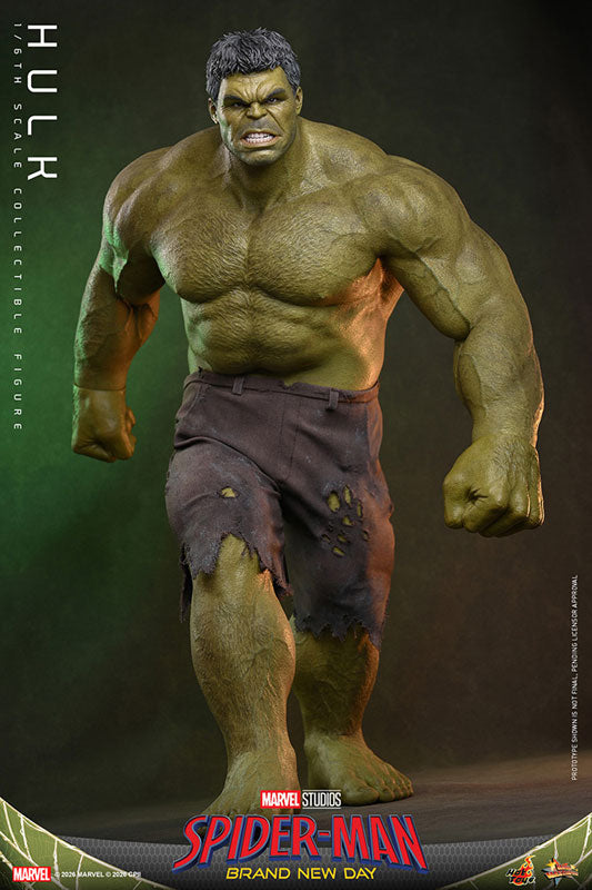 Movie Masterpiece Spider-Man: Brand New Day - Hulk