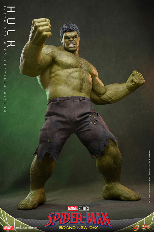 Movie Masterpiece Spider-Man: Brand New Day - Hulk