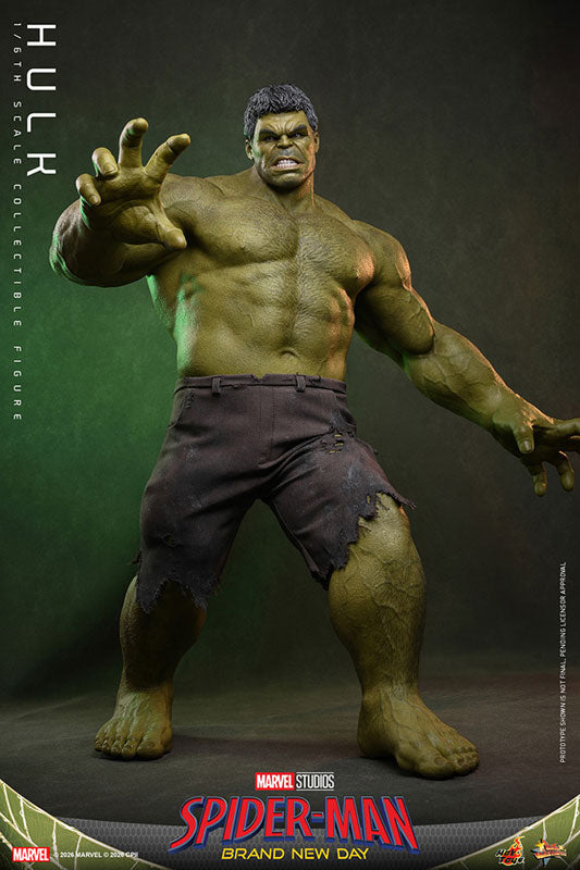 Movie Masterpiece Spider-Man: Brand New Day - Hulk