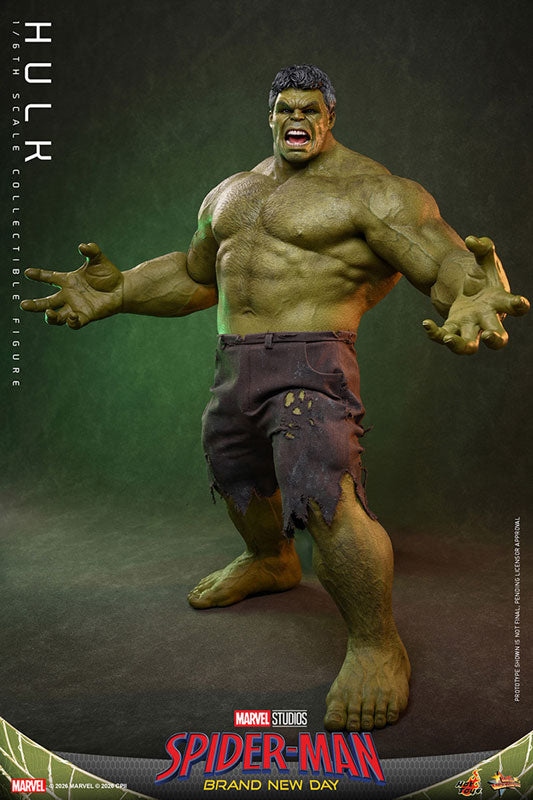 Movie Masterpiece Spider-Man: Brand New Day - Hulk