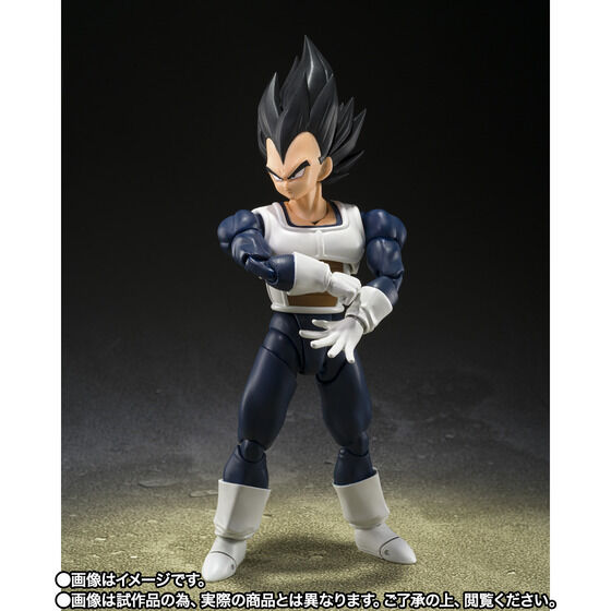 S.H. Figuarts Dragon Ball Z - Vegeta -Old Battle Suit- TamashiWeb Exclusive