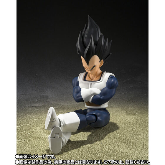 S.H. Figuarts Dragon Ball Z - Vegeta -Old Battle Suit- TamashiWeb Exclusive