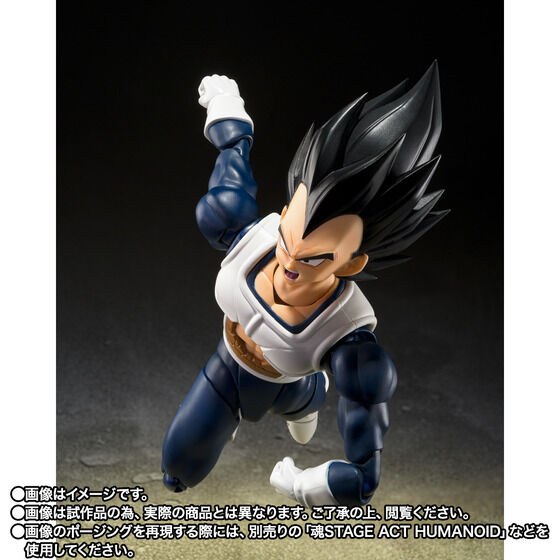 S.H. Figuarts Dragon Ball Z - Vegeta -Old Battle Suit- TamashiWeb Exclusive