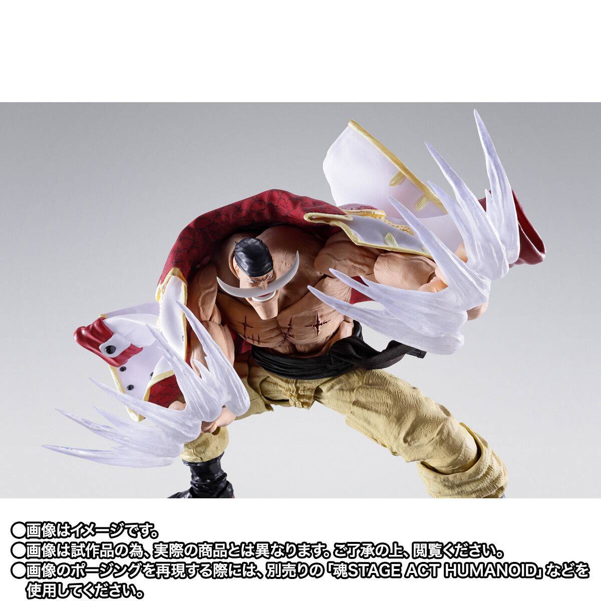 S.H. Figuarts One Piece - Edward Newgate (Whitebeard): Summit War of Marineford TamashiWeb Exclusive