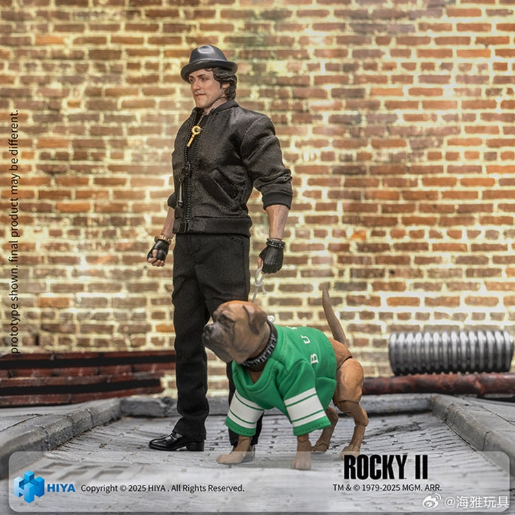 HIYA 1/12 Exquisite Super Rocky 2 Rocky 6" inch