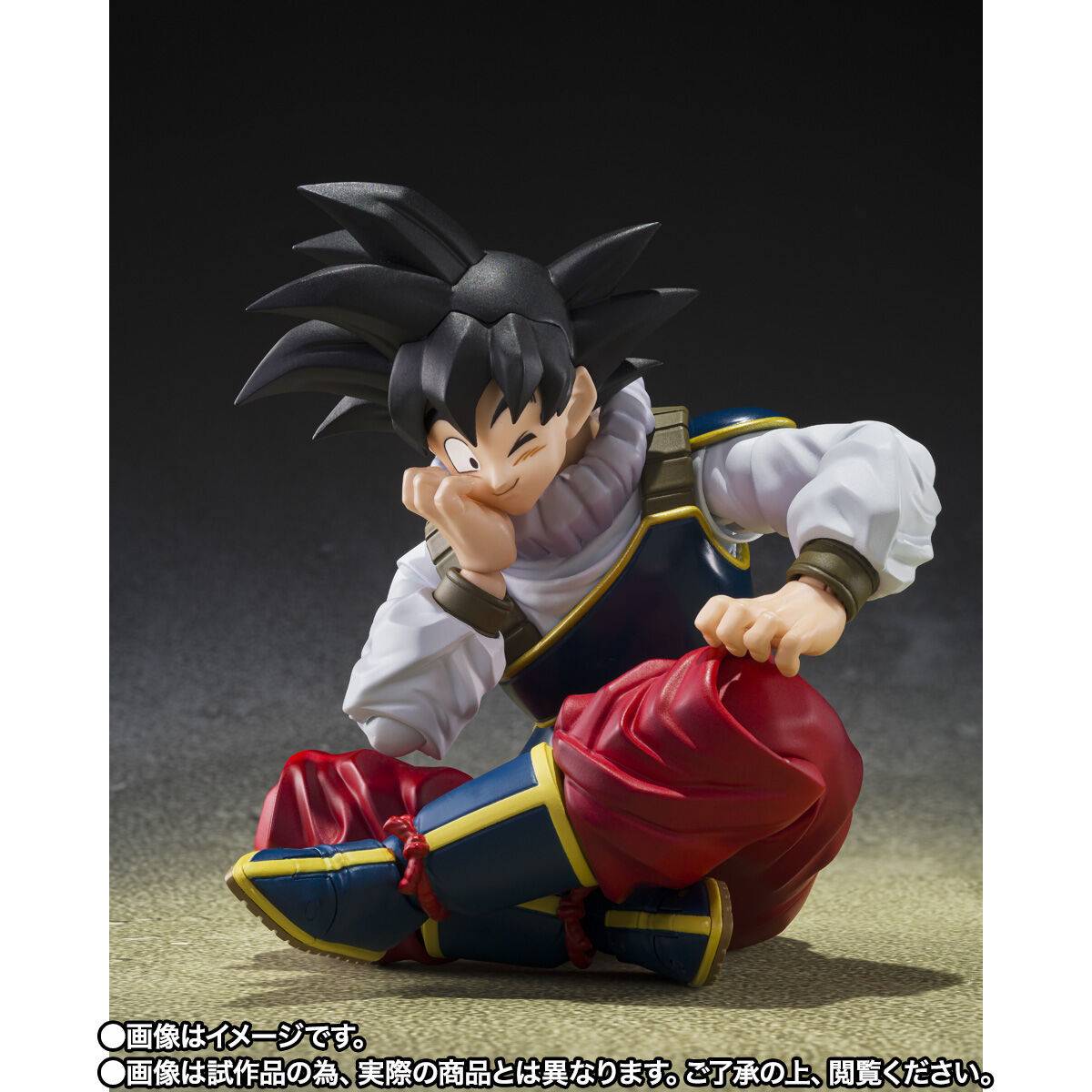 S.H Figuarts Dragon Ball Z - Son Goku (Return to Earth) TamashiWeb Exclusive